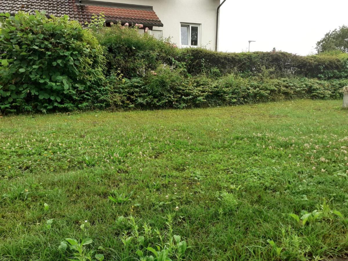 Ferienwohnung Am Kurpark, ไกลิงเงน ภายนอก รูปภาพ